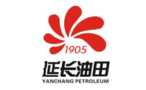陕西延长石油（集团）有限责任公司 （标书翻译）